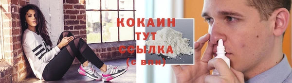 соль ск Лабытнанги