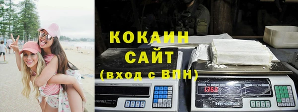 сатива Коряжма